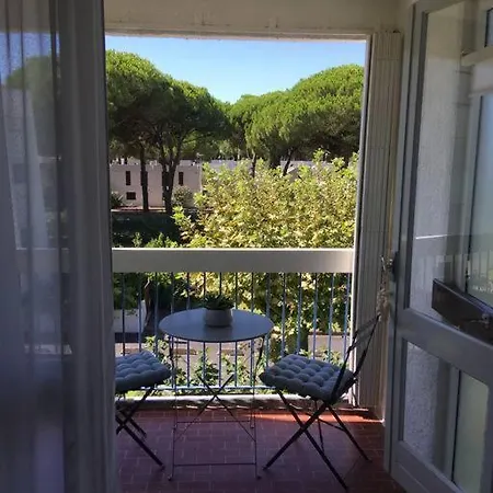 Apartment T2 Tres Agreable Et Proche De La *